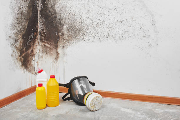 Best Biohazard Mold Removal  in Bloomer, WI